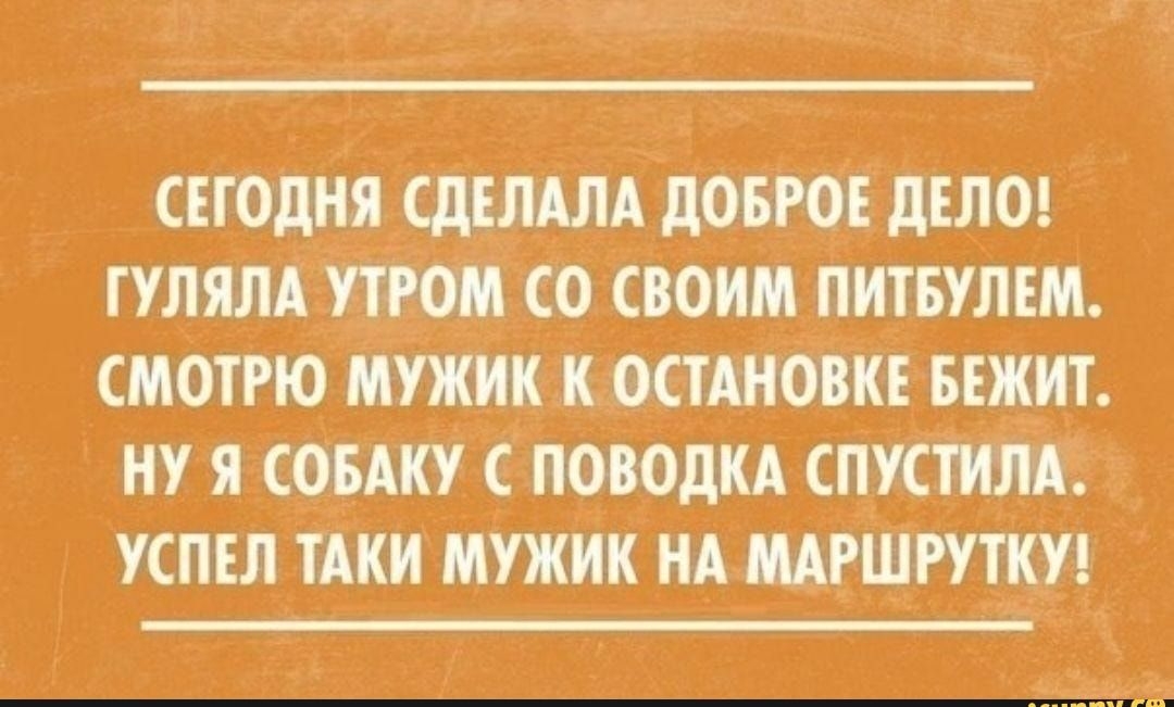 СЕГОДНЯ СдЕЛАЛА дОБРОЕ дЕЛО ГУЛЯЛА УТРОМ СО СВОИМ ПИТБУЛЕМ СМОТРЮ МУЖИК К ОСТАНОВКЕ БЕЖИТ НУ Я СОБАКУ С ПОВОДКА СПУСТИЛА УСПЕЛ ТАКИ МУЖИК НА МАРШРУТКУ