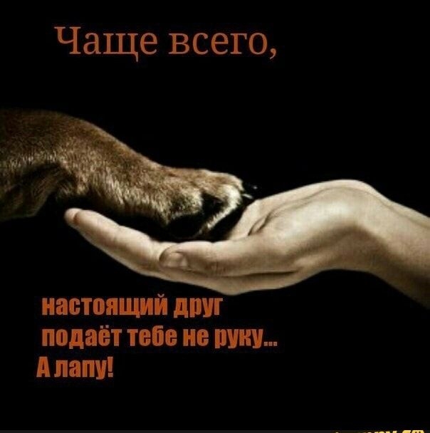 Чаще всего настоящий ЛВИ подаёт тебе П А папу