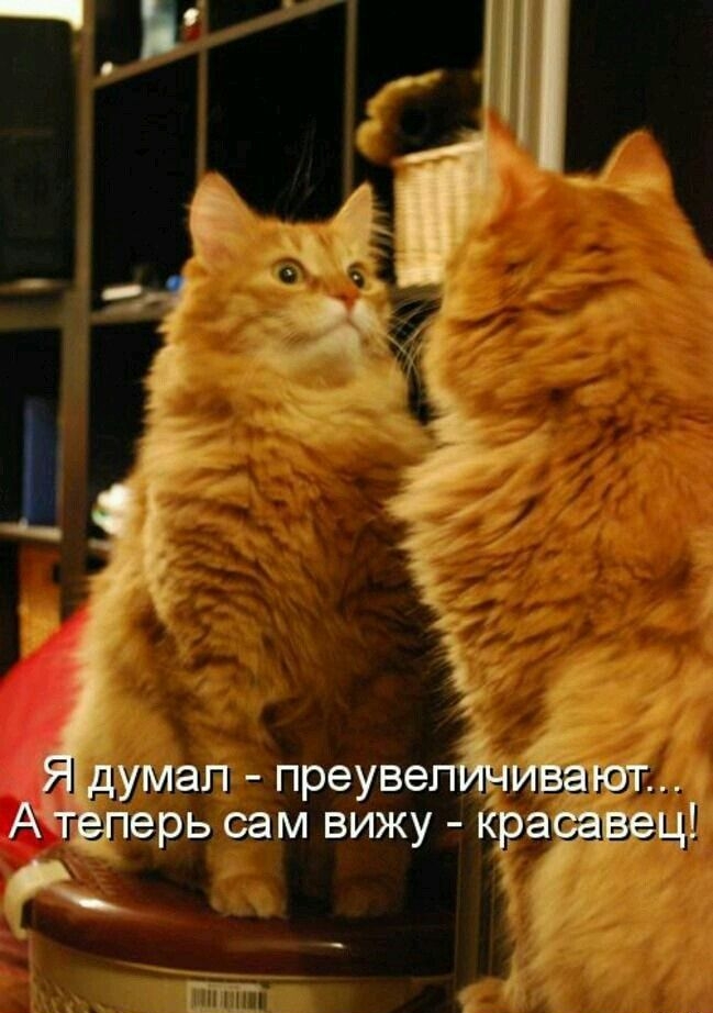 УМЭН НреУВЭПйЁ МВЁЮЯ ерь СЭМ ВИЖУ кра ввц гг