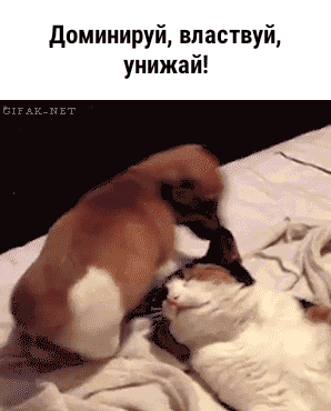 доминируй властвуй унижай