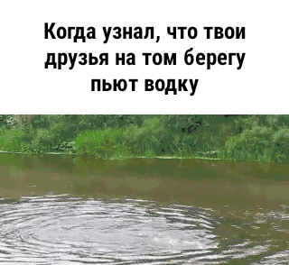 Когда узнал что твои друзья на том берегу ПЫОТ водку