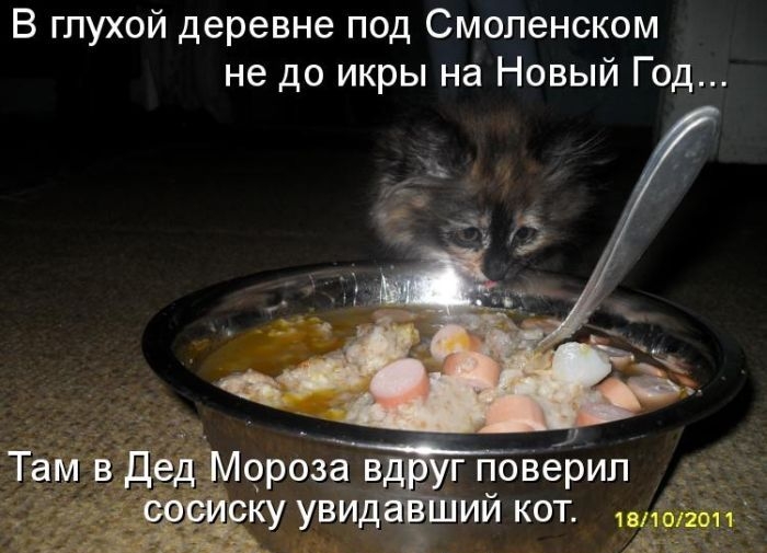 В глухой деревне под Смоленском не до икры на Новый Год Г поверил ий кот