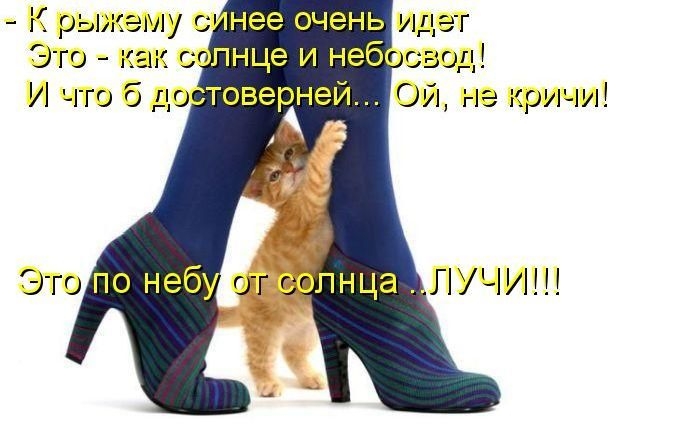 К рыжэму нее очень идет Это как ппнце и небг свод И что 0 пр ОИ нэ кричи ъ Это по небу от гопнца ЛУЧИ