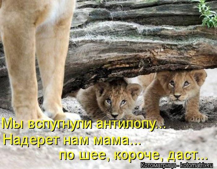 Днуг 1 г агТ мама по шее аорте чаш п