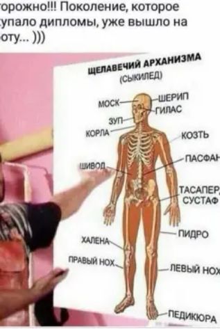 орожио Поколение которое упало дипломы уже вышло на У