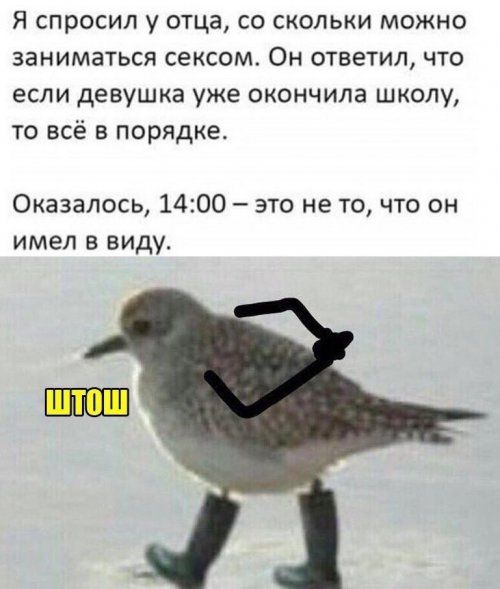 Я спросил у отца со скольки можно заниматься сексом Он ответил что если девушка уже окончила школу то всё в порядке Оказалось 1400 это не то что он имел в виду