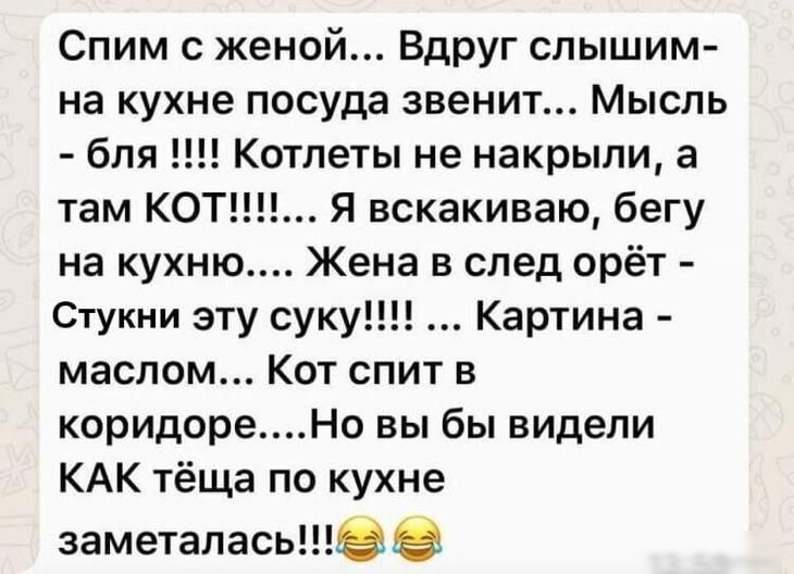 Спим с женой Вдруг слышим на кухне посуда звенит Мысль бля Котлеты не накрыли а там КОТ Я вскакиваю бегу на кухню Жена в след орёт Стукни эту суку Картина маслом Кот спит в коридореНо вы бы видели КАК тёща по кухне заметалась