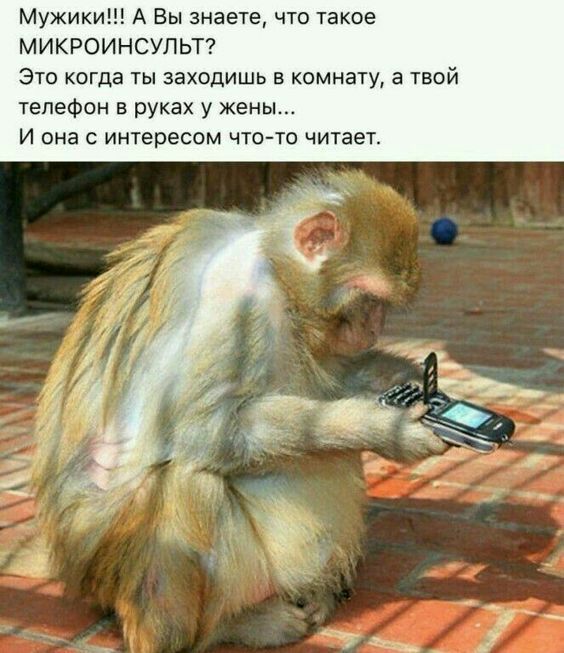 Мужики А Вы знаете что такое МИКРОИНСУЛЬТ Это когда ты заходишь в комнату а твой телефон в руках у жены И она с интересом что то читает