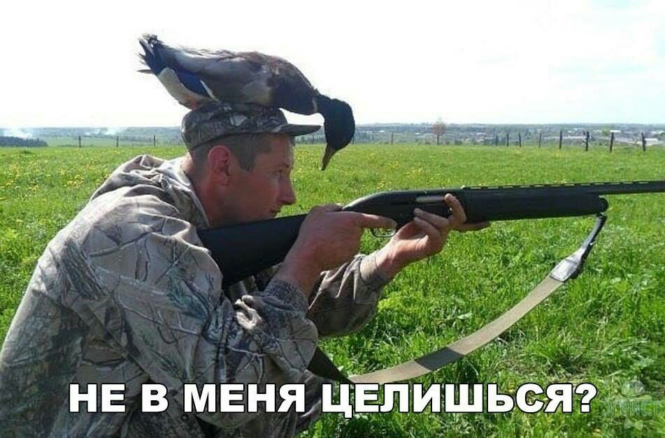 НЕ в мвняцЁлишь