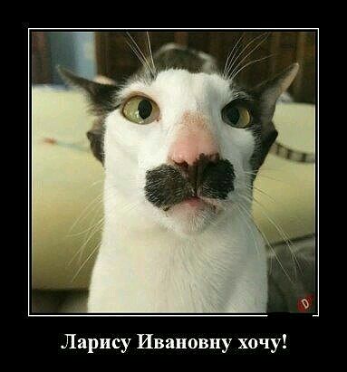 Ларису Ивановну хочу