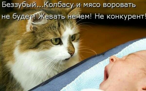 БеззубыйКол6асу и мясо воровать не будЁвать нечем Не конкурент _