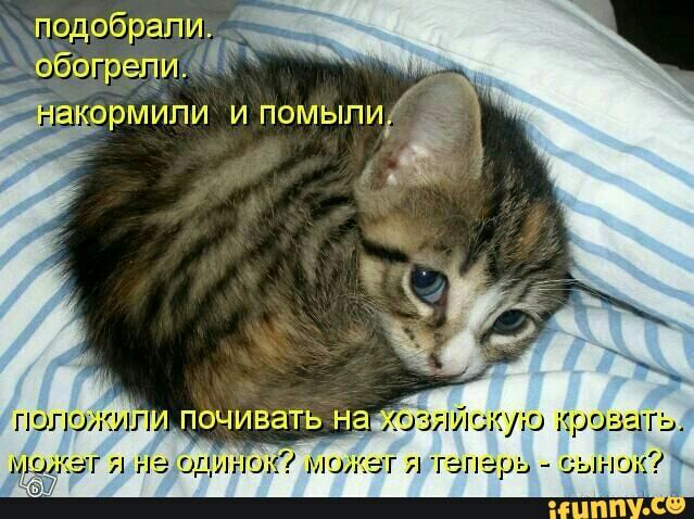 Наташи _ 59 г и не сцен читы и гепщть сынцж