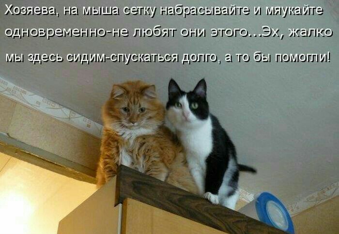 Капец на тыща сетку нябрасыыйіте ш пишите птювремеъпно не любят щи этогоЭх жалко мы тем сщмщпущшться дапщ то бы тмти