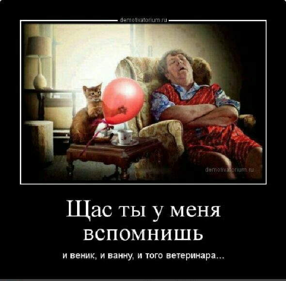 Щас ты у меня вспомнишь и вемик и ванну и тпгп выеринара