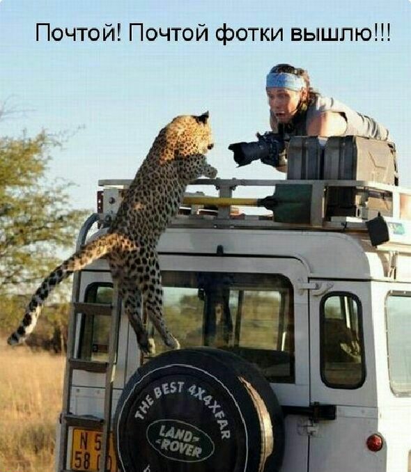 Почтой Почтой фотки вышлю