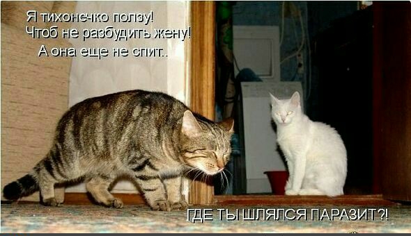 пиши 0213 дить
