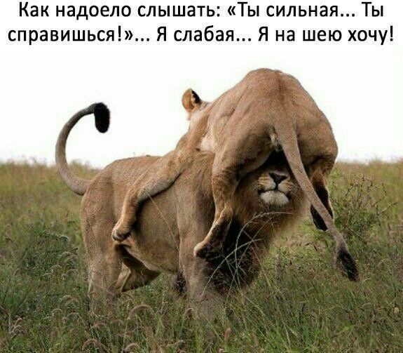 Как надоело слышать Ты сильная Ты справишься Я слабая Я на шею хочу