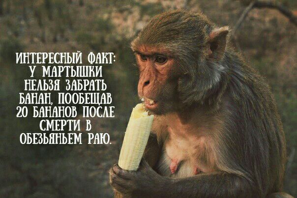 ИНТЕРЕСНЫЙ ФАКТ У МАРТЫШВИ НЕАЬЗЯ ЗАБРАТЬ МИАН ПООБШШВ 20 БАНШЮВ ПОСШ СМЕРТИ Б ОБВЬЯНЬЕМ РАЮ