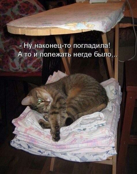 Ну наконец то погладила Ато и полежать негде было