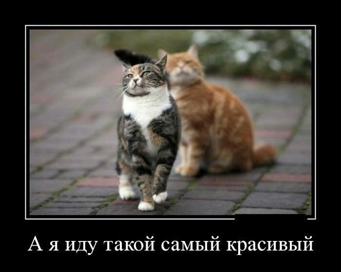 А я Иду такой самый красивый