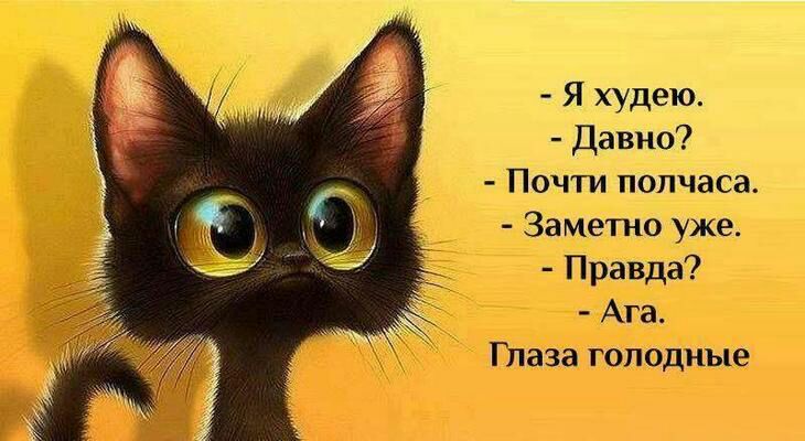 Я худею Давно Почти полчаса Заметно уже Правда Ага Глаза голодные