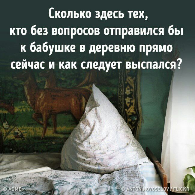 Сколько здесь тех кто без вопросов отправился бы к бабушке в деревню прямо сейчас и как следует выспался
