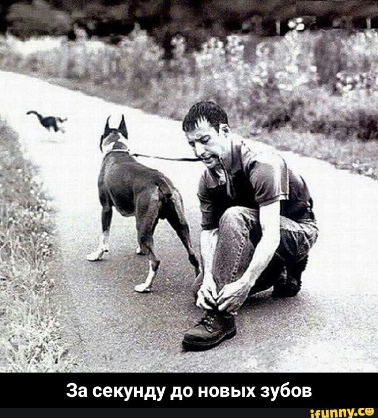 За секунду до новых зубов П СО