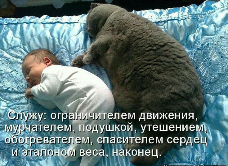 Пелем движения 1 гушкой утешение спасителем серд веса Нёконец Ь М1
