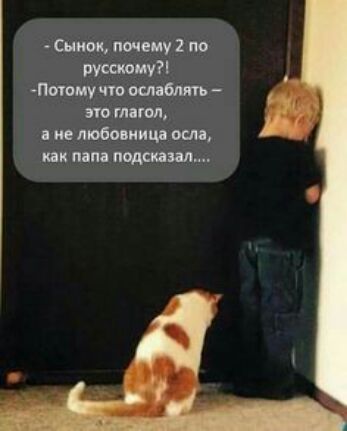 Синоп почему 2 по Пмаму что септики но там не любо ити им как папа подсказал