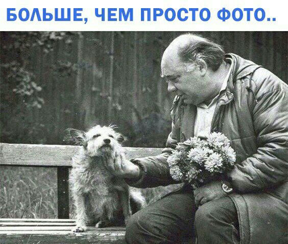 БОАЬШЕ ЧЕМ ПРОСТО ФОТО