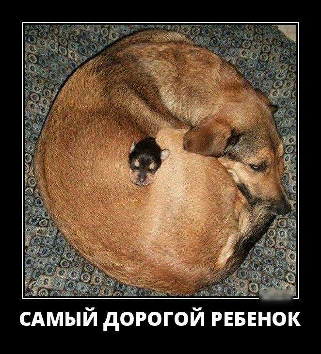 САМЫИ дОРОГОИ РЕБЕНОК