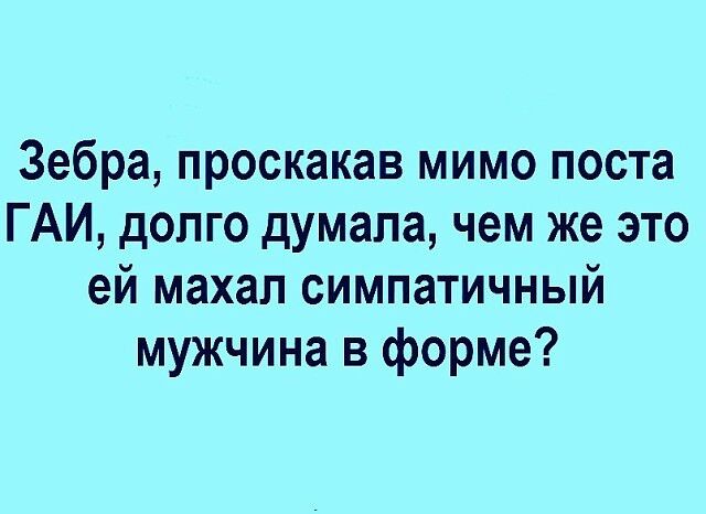 Зебра проскакав мимо поста ГАИ допго думала чем же это ей махал симпатичный мужчина в форме