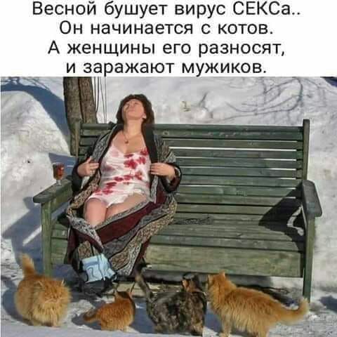 Весной бушует вирус СЕКСа Он начинается с котов А женщины его разносят и заражают мужиков_