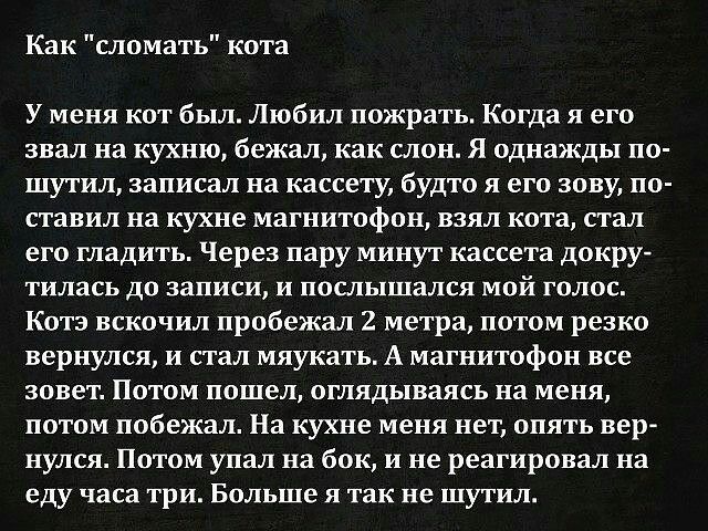 Как сломать кота У меня кот был Любил пожрать Когда я его звал на кухню бежал как слон Я однажды по шутил записал на кассету будто я его зову по ставил на кухне магнитофон взял кота стал его гладить Через пару минут кассета докру ТИЛНСЬ ДО ЗЗПИСИ И ПОСЛЬПШЗЛСЯ мой ГОЛОС Котэ вскочил пробежал 2 метра потом резко вернулся и стал мяукать А магнитофон все зовет Потом пошел оглядываясь на меня потом по