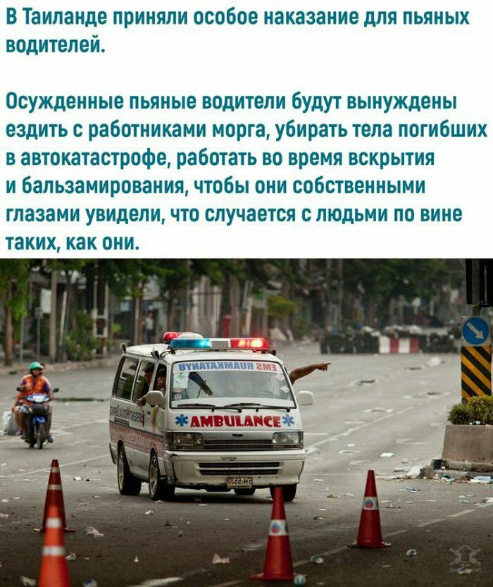 В Таиланде приняли особое наказание для пьяных водителей Осужденные пьяные водители будут вынуждены ездить с работниками морга убирать тела погибших в автокатастрофе работать во время вскрытия и бальзамирования чтобы они собственными глазами увидели что случается с людьми по вине таких как они