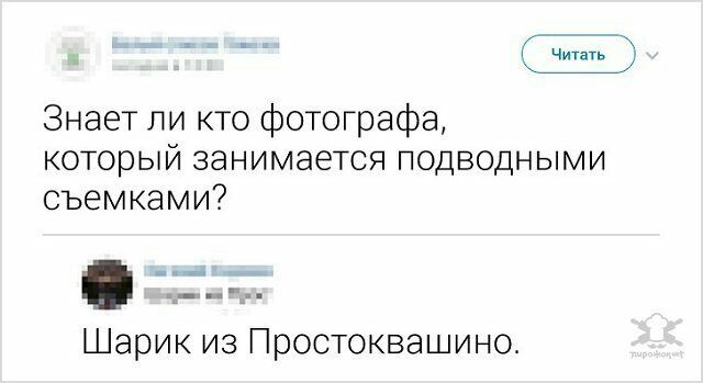 тт тт Читать Знает ли кто фотографа который занимается подводными съемками Шарик из Простоквашино