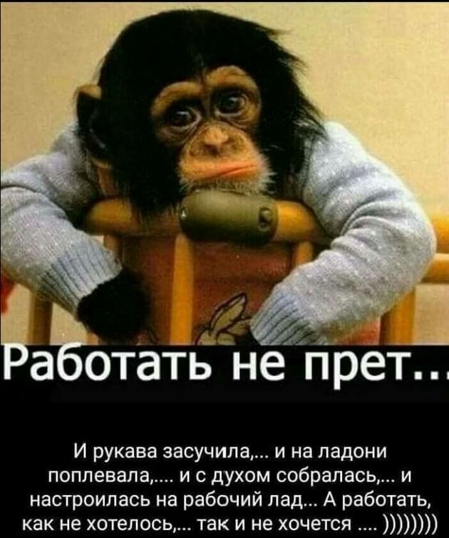 а Отать не прет И рукава засучипа и на ладони поппевала и с духом собралась и настроилась на рабочий пад А работать как не хотелось так и не хочется