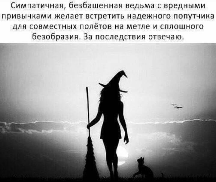 Симпатичная безбашенная ведьма с вредными привычками желает встретить надежного попутчика для совместных полётов на метле и сплошного безобразия За последствия отвечаю
