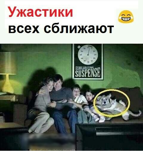 Ужастики всех сближают зйёЁЁМЗЕ