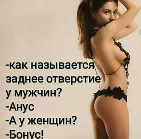 как называете заднее отверстие у мужчин Анус А у женщин Бонус