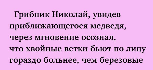 Грибник Николай увидев приближающегося медведя через мгновение осознал что хвойные ветки бьют по лицу гораздо больнее чеМ березовые