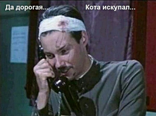 да дорогая
