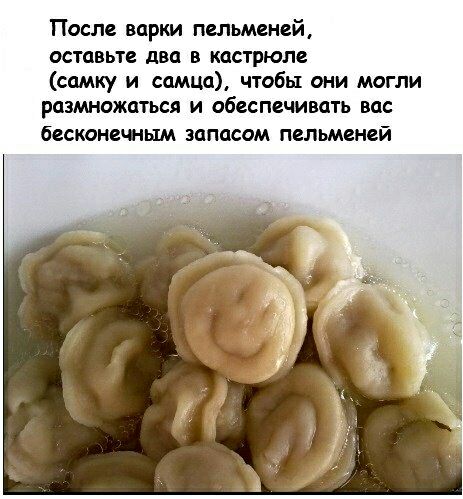 После варки пельменей оставьте два в кастрюле самку и самца чтобы они могли размножаться и обеспечивать вас бесконечным запасом пельменей