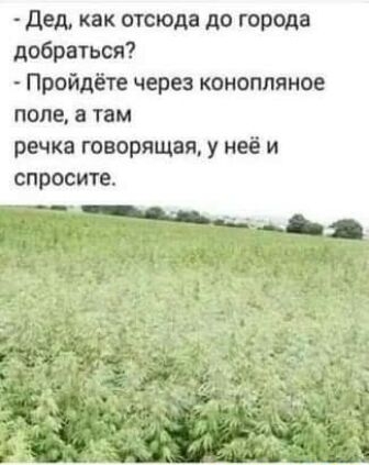 Дед как отсюда до города добраться Пройдёте через конопляное поле а там речка говорящая у неё и спросите