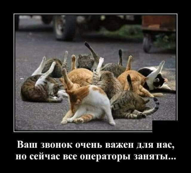 Ваш звонок очень важен для нас но сейчас все операторы заняты