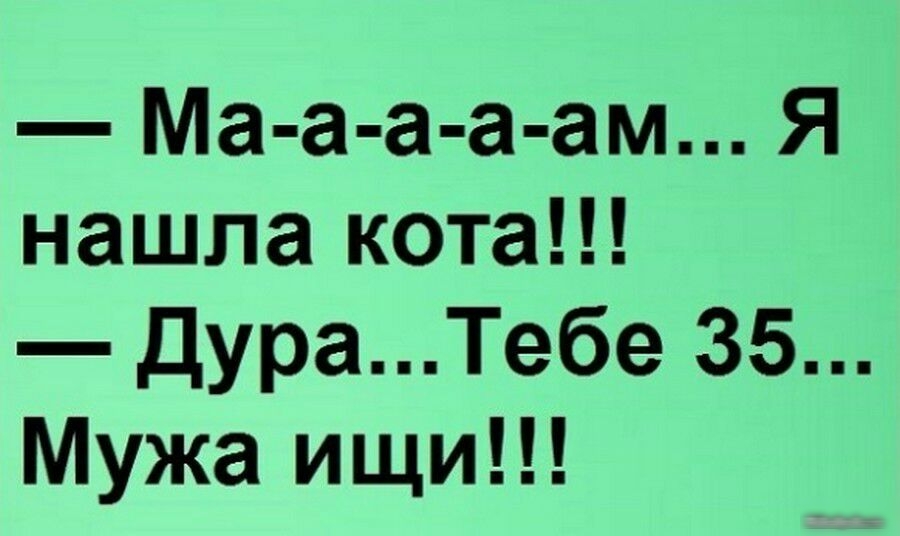 Ищу мужа юмор. Ищу мужа картинки. Ищу мужа картинки приколы. А чё ты такая счастливая?.