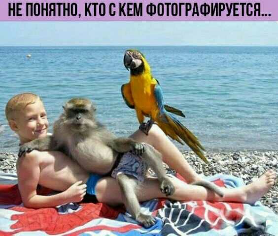 НЕ ПОНЯТНП КТП О КЕМ ФОТОГРАФИРУЕТБП