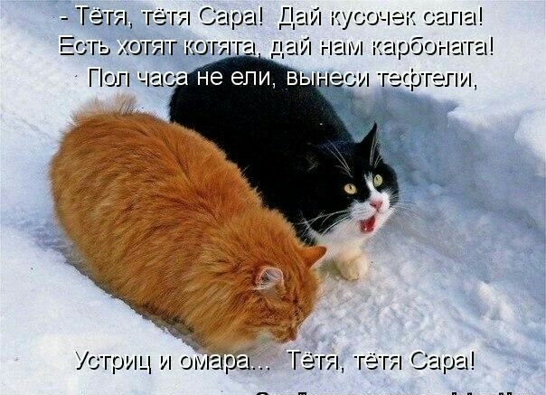 Тётя тетя Сара Дай кусоче таг мы 60 _ ЕСТЬ АОГЯГ КОГЯ Поп час аси г Устриц и омарг гя тетя Сара