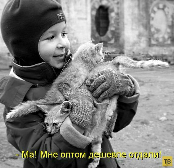 элз отдали _ тв