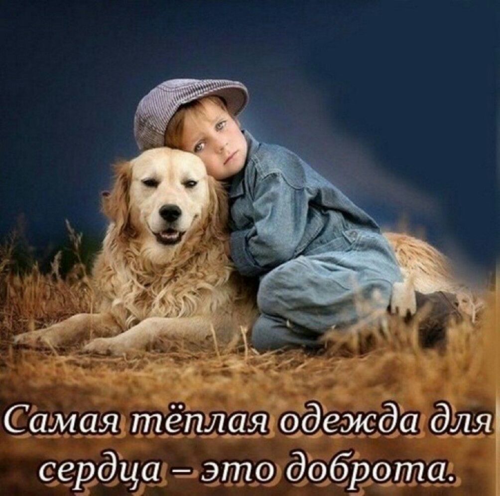 Самая тёплая аде жда 327152 сердца это доброта